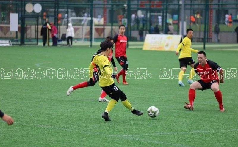 运动赛事中的成语大观：起源、应用与文化内涵